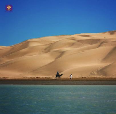 تصویری زیبا از تلفیق کویر و دریا در بندر تنگ + عکس
