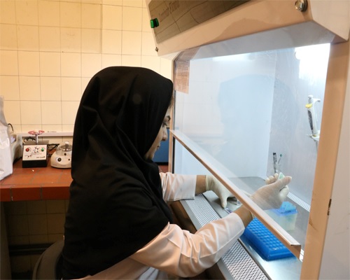 راه اندازی آزمایشگاه تشخیص مولکولی سالک در یک مرکز بهداشت در استان فارس