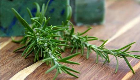 این سبزی معطر ضد نفخ، مقوی معده و هضم کننده غذا است