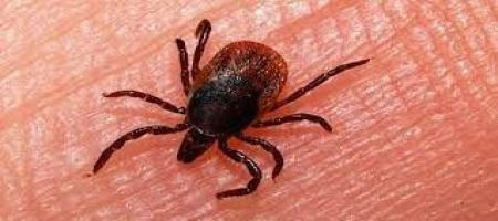 بیماری خطرناک در کمین ایرانیان