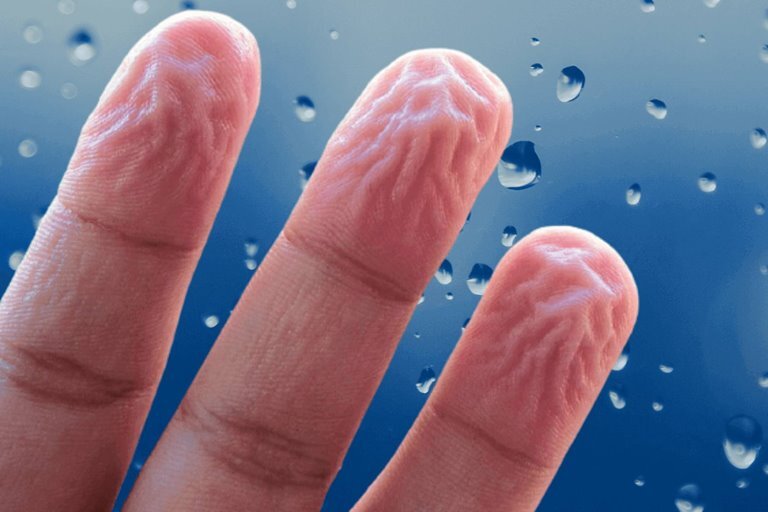 رازهایی که چروک شدن پوست انگشت در آب آشکار می‌کند