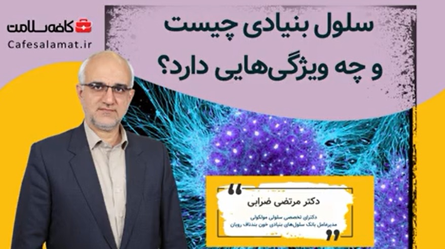 سلول بنیادی چیست و چه ویژگی‌هایی دارد؟