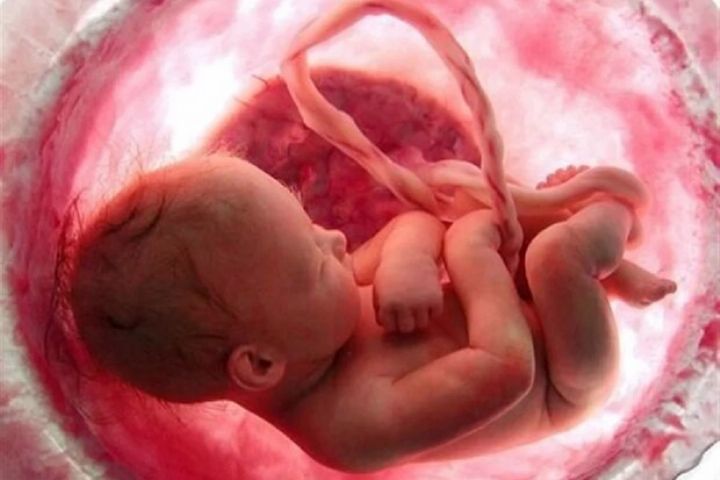 اینفوگرافیک | تأثیر ماده مخدر گل بر جنین