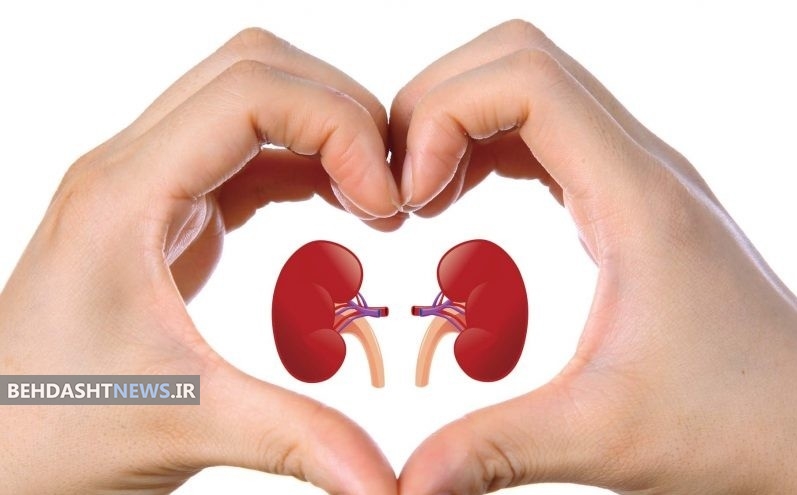 میوه های خوب برای کلیه ها