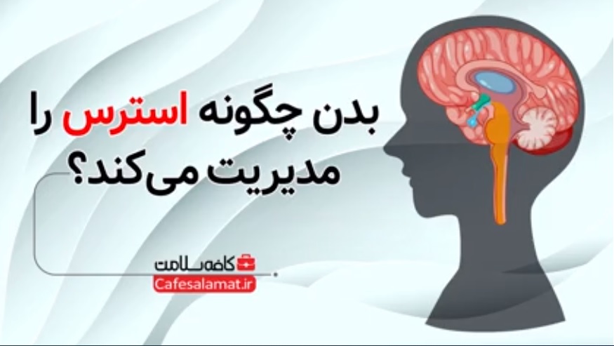 بدن چگونه استرس را مدیریت می‌کند؟