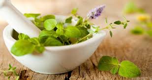 کاربرد گیاهان دارویی در درمان بیماریهای تنفسی، سرفه و ضد احتقان