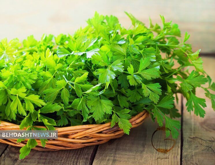 اندر فواید شگفت انگیز جعفری، از درمان کم خونی تا لاغری!