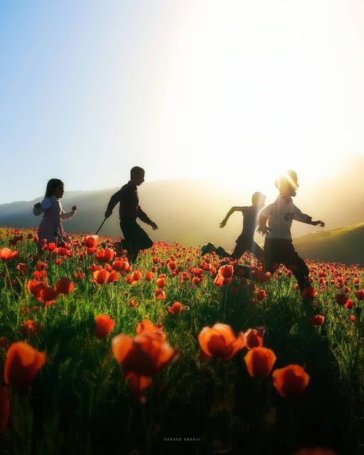 تصویری دیدنی از کودکان در ارتفاعات تالش+عکس