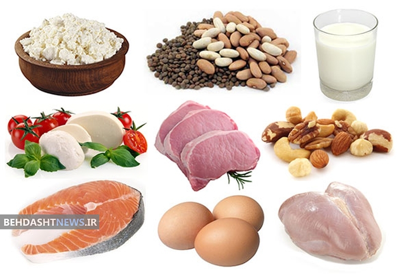 آیا خوردن پروتئین زیاد خوب است یا بد؟