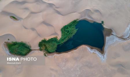 جاذبه‌ای غیر طبیعی در دل کویر + عکس