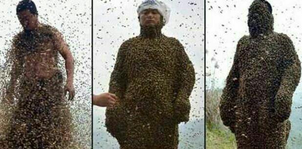 عکس/ مرد چینی درحال رکورد زدن بیشترین زنبور روی پوست