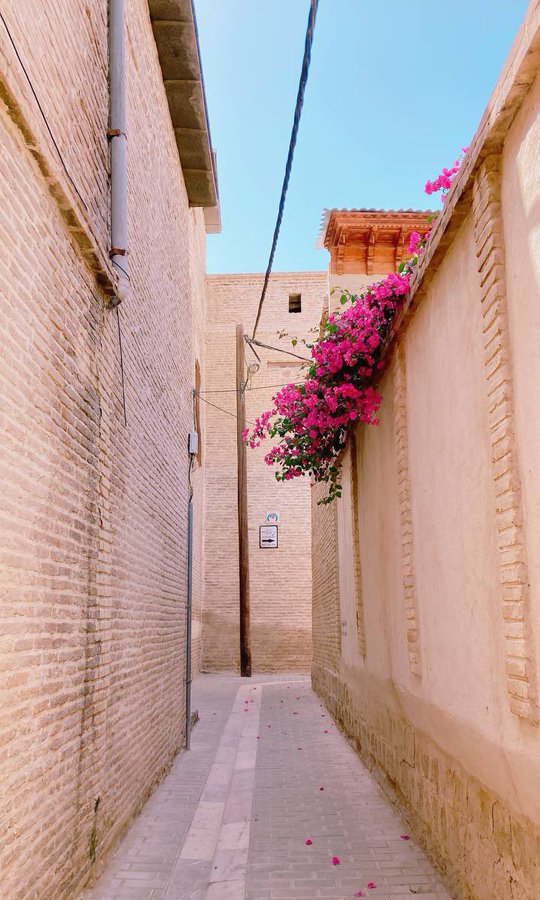 تصویر دیدنی از بافت تاریخی شیراز+عکس