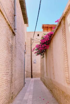 تصویر دیدنی از بافت تاریخی شیراز+عکس