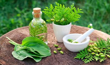 آیا داروهای گیاهی بی خطر هستند؟