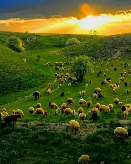 تصویر زیبا از خلخال سرسبز+عکس