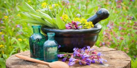 معالجه گیاهی زخم‌های دستگاه گوارشی 