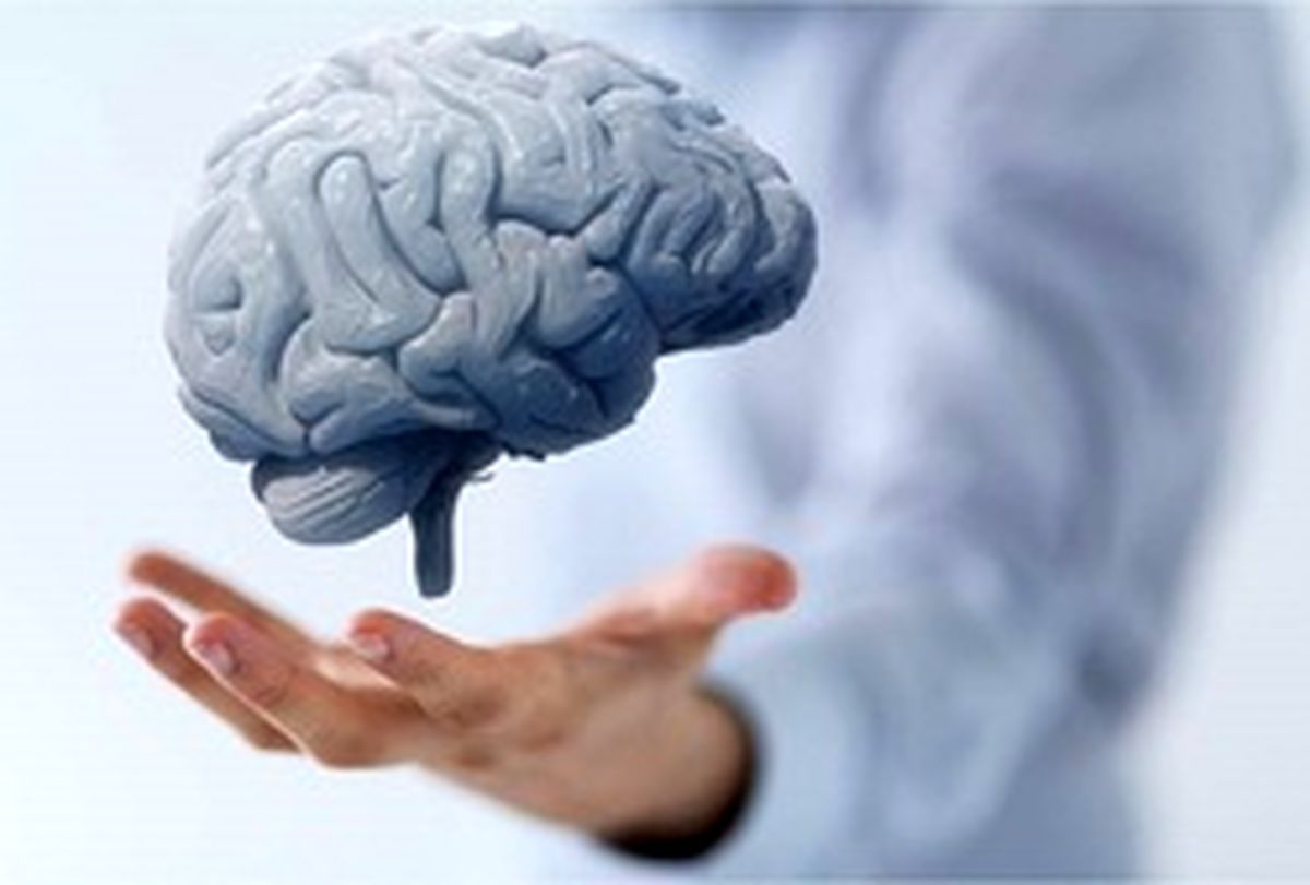 نقش مرموز یک  عضو در سلامت مغز