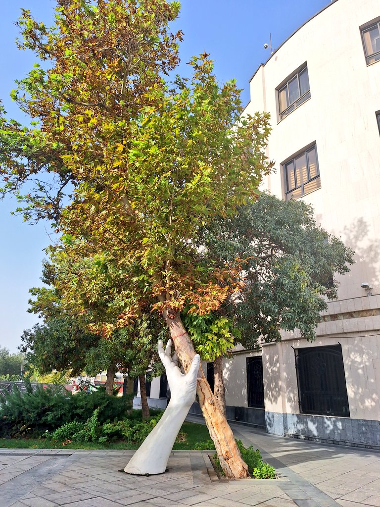 تصویر زیبا از تکیه‌گاه یک درخت در مشهد+عکس