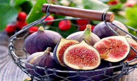 فواید درمانی انجیر+ طبع