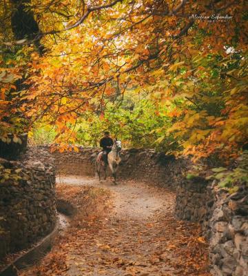 تصویر زیبا از پاییز خوانسار+عکس