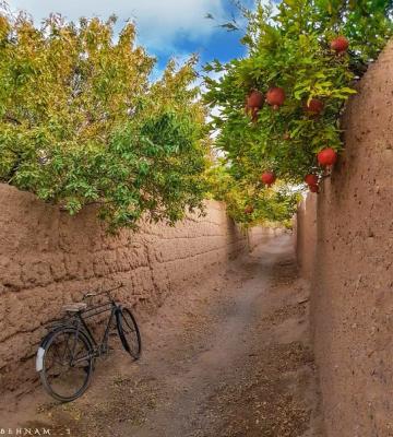 پاییز زیبای نجف آباد و انارهایش+عکس