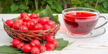 خواص جالب گیاه زالزالک