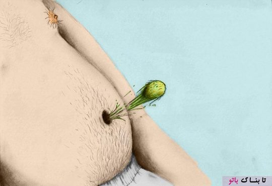 آلوده ترین عضو بدن کجاست؟ + عکس