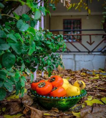 پاییز زیبای ملایر+عکس