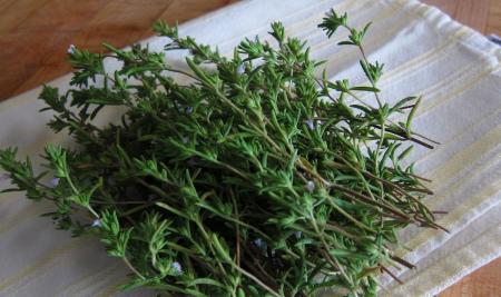 سبزی خوردن معطر ضد نفخ و دل‌پیچه