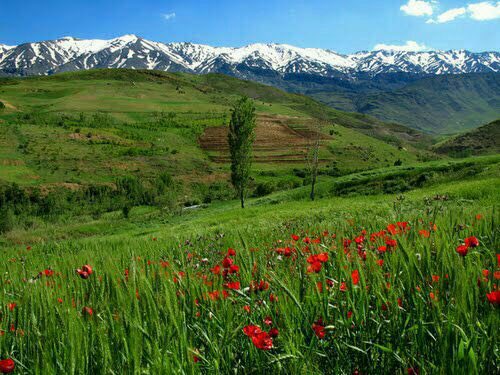 زیبا و دلکش چون روستای ونایی+عکس