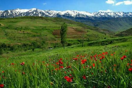 زیبا و دلکش چون روستای ونایی+عکس