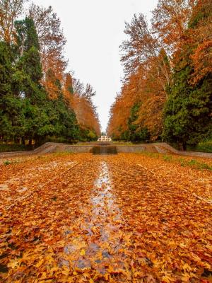 باغ شاهزاده ماهان غرق در زیبایی‌های پاییز+عکس