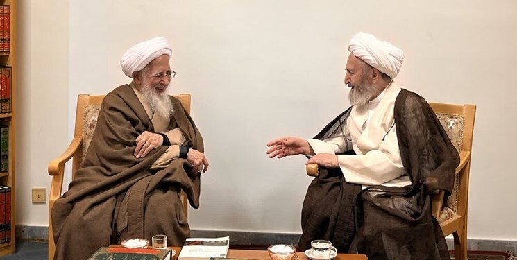دیدار و گفت‌وگوی دو مرجع تقلید مشهور + عکس