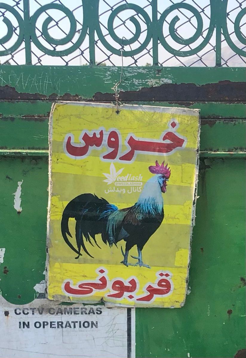 حرکت عجیب یک مرکز تعویض پلاک در تهران+عکس