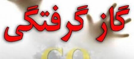 دودکش های نامناسب از مهم ترین دلایل مسمومیت با گاز مونوکسیدکربن است