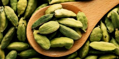 گیاه معطر پرخاصیت/ درمان مشکلات گوارشی تا خاصیت ضد باکتری
