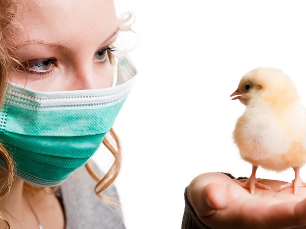راهکارهایی مهم برای مبتلا نشدن به آنفولانزای فوق حاد پرندگان در فصل سرما 