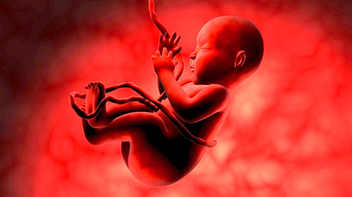 افزایش آمار سقط جنین و نرخ کاهش جمعیت
