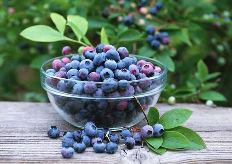 زنده شدن موها با 9 ماده غذایی