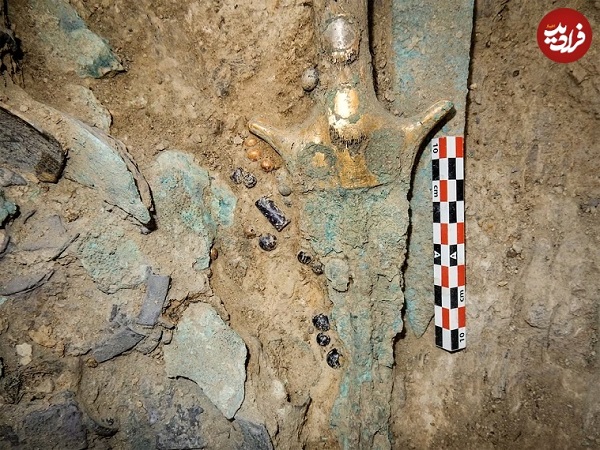 مقبره‌ای پر از «گنج» که در باغ زیتون کشف شد+ تصاویر