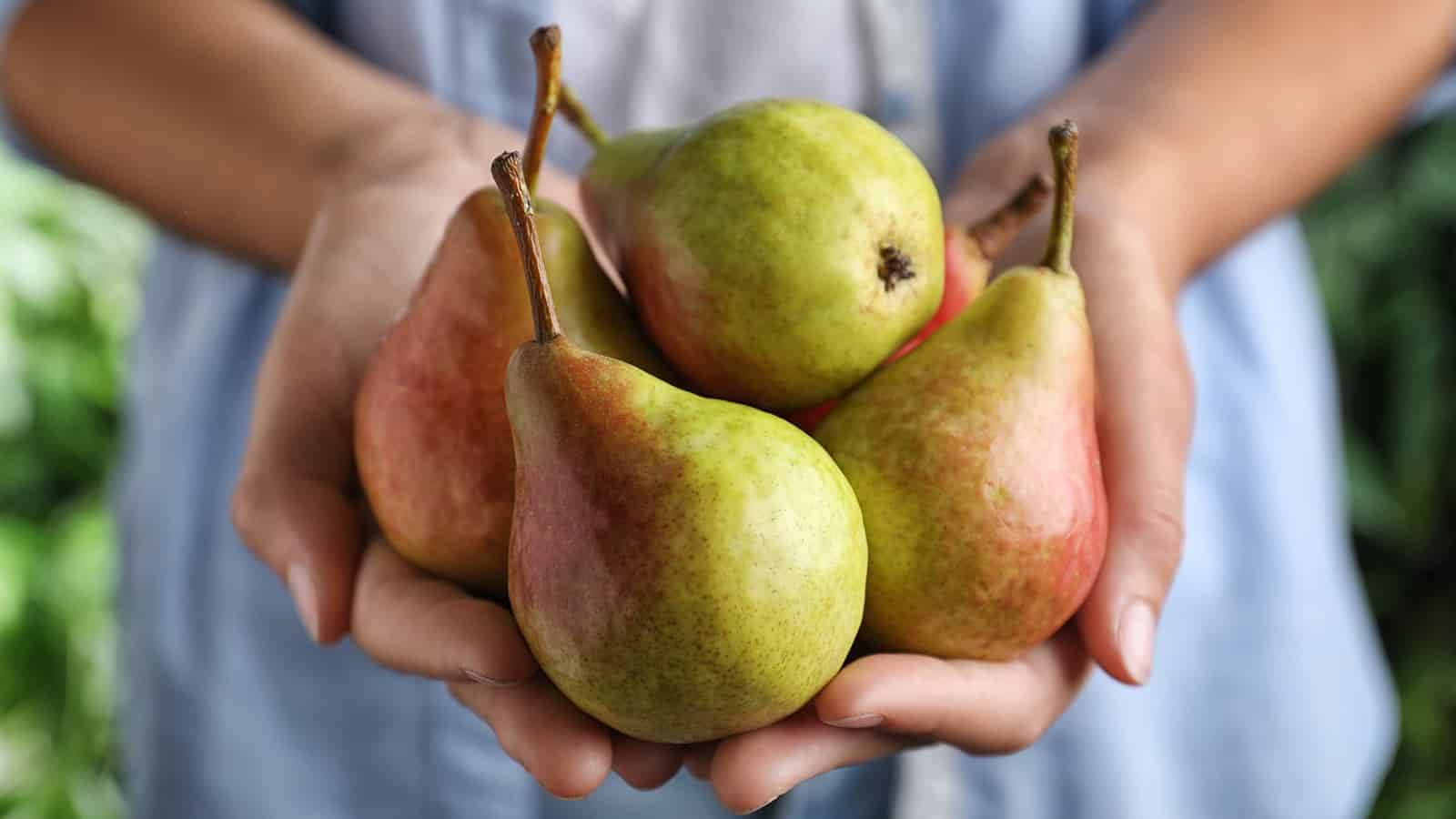 اگر سلامت قلب برای شما اهمیت ویژه ای دارد این میوه را میل کنید