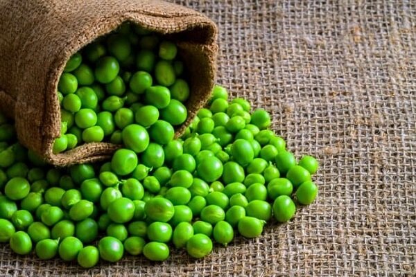 با این دانه سبز رنگ خوشمزه سلامت دستگاه گوارش خود را تضمین کنید