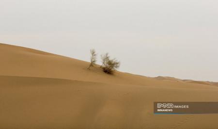 ریگ زرین؛ کویر زیبای یزد+ عکس