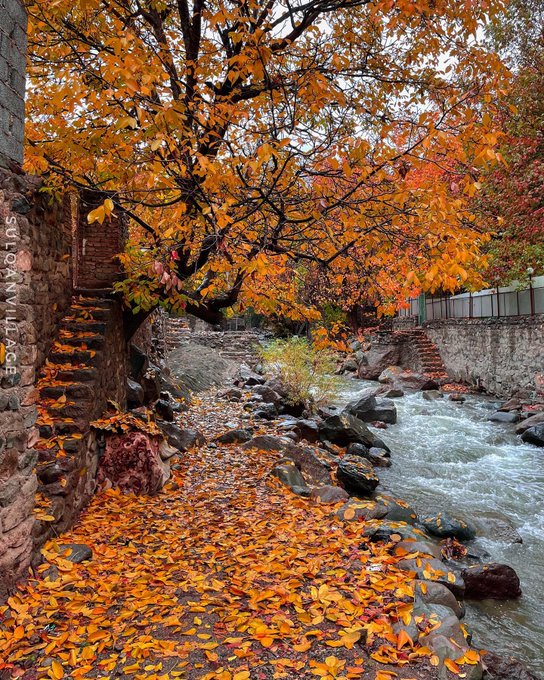 پاییز زیبای سولقان+عکس