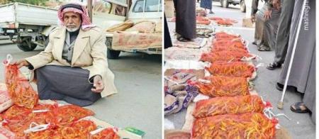 بازار ملخ‌فروشان در شهر «البریده» عربستان  + عکس