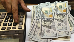 اختصاص ۷۹ درصد از ارز نیمایی واردات چای به یک گروه تجاری