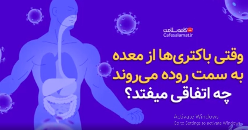 وقتی باکتری‌ها از معده به سمت روده می‌روند چه اتفاقی میفتد؟
