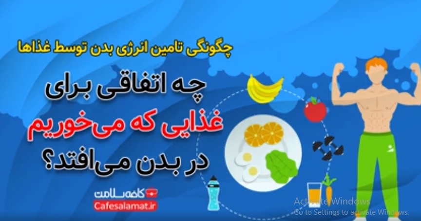 چه اتفاقی برای غذایی که می‌خوریم در بدن می‌افتد؟