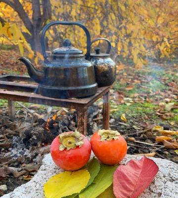 تصویری از پاییز باصفای کردستان که دل هر کسی را هوایی می‌کند+عکس