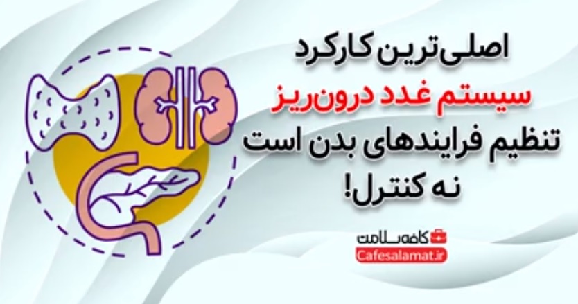 اصلی‌ترین کارکرد سیستم غدد درون‌ریز، تنظیم فرایند‌های بدن است نه کنترل!
